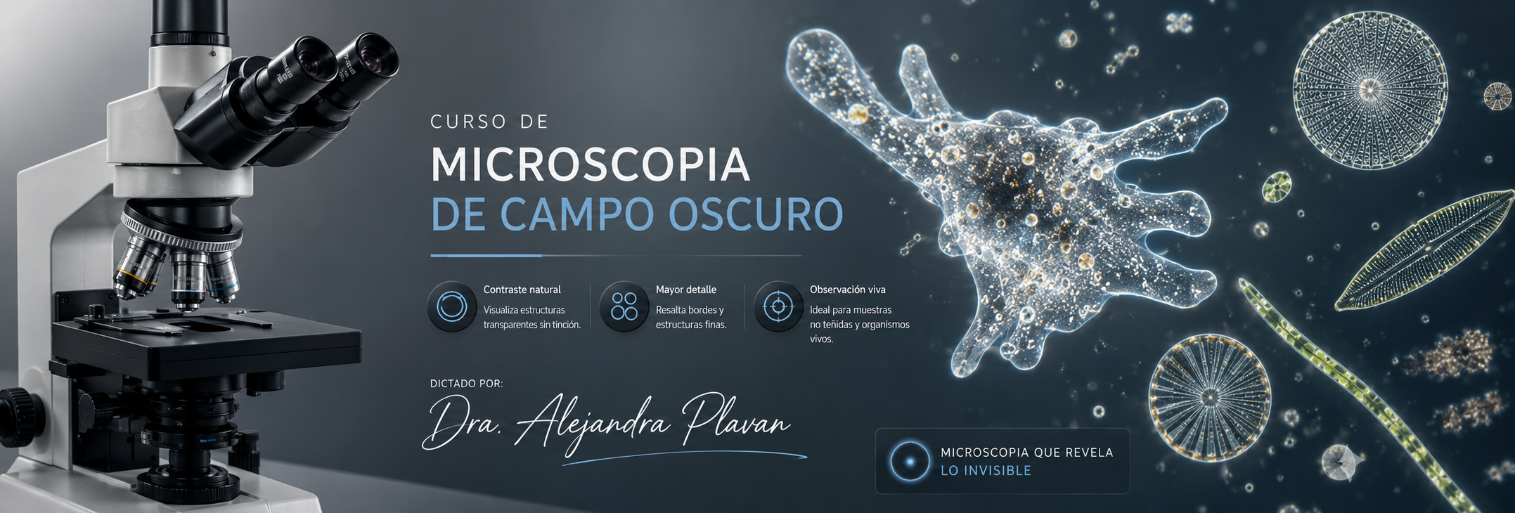 Curso de ozonoterapia.Curso para médicos enfermeros y profesionales de la salud.PRP ozonizado.Medicina estética y ozonoterapia